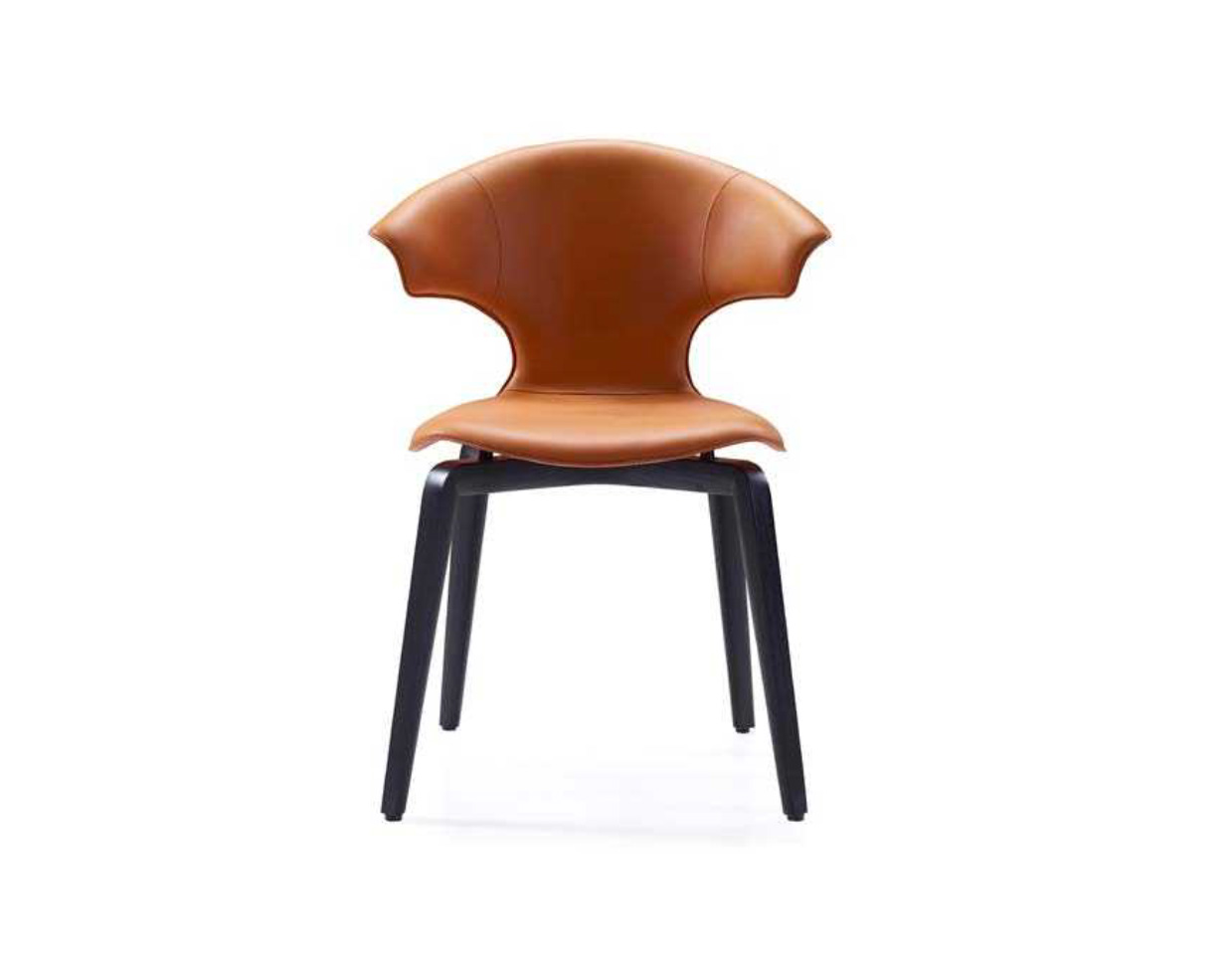 Refined Dining Chair With Fibreglass Structure, DFUP 1044 02