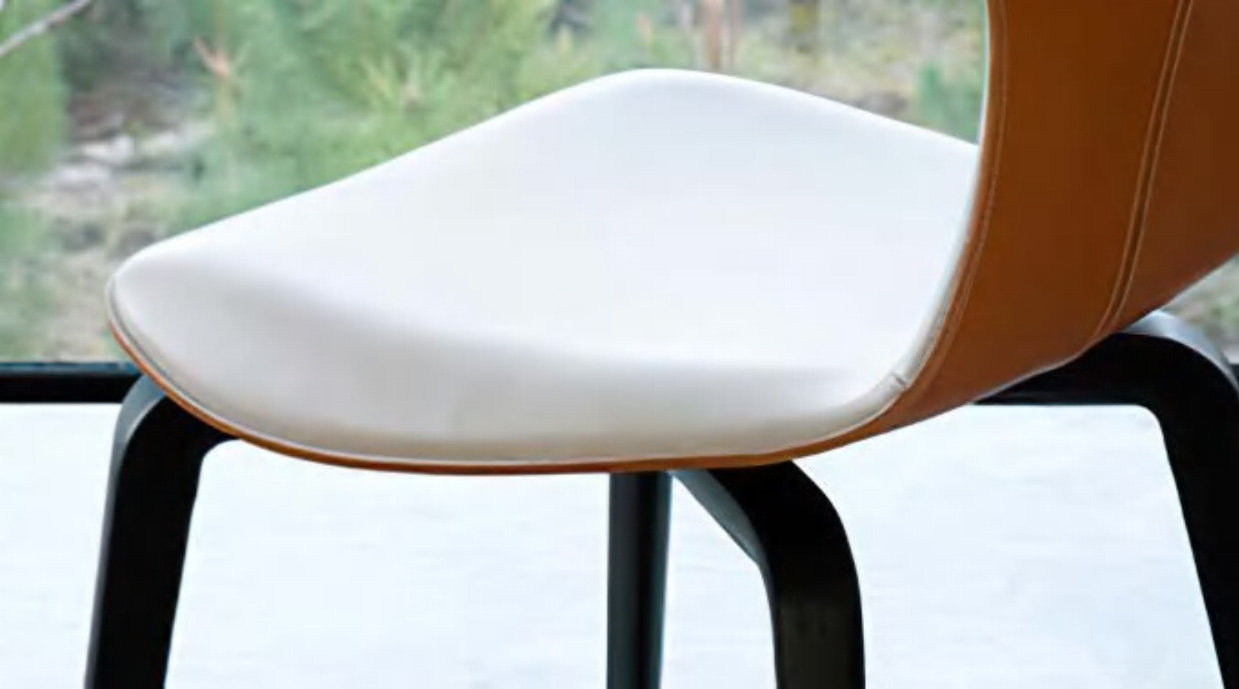 Refined Dining Chair With Fibreglass Structure, DFUP 1044 03